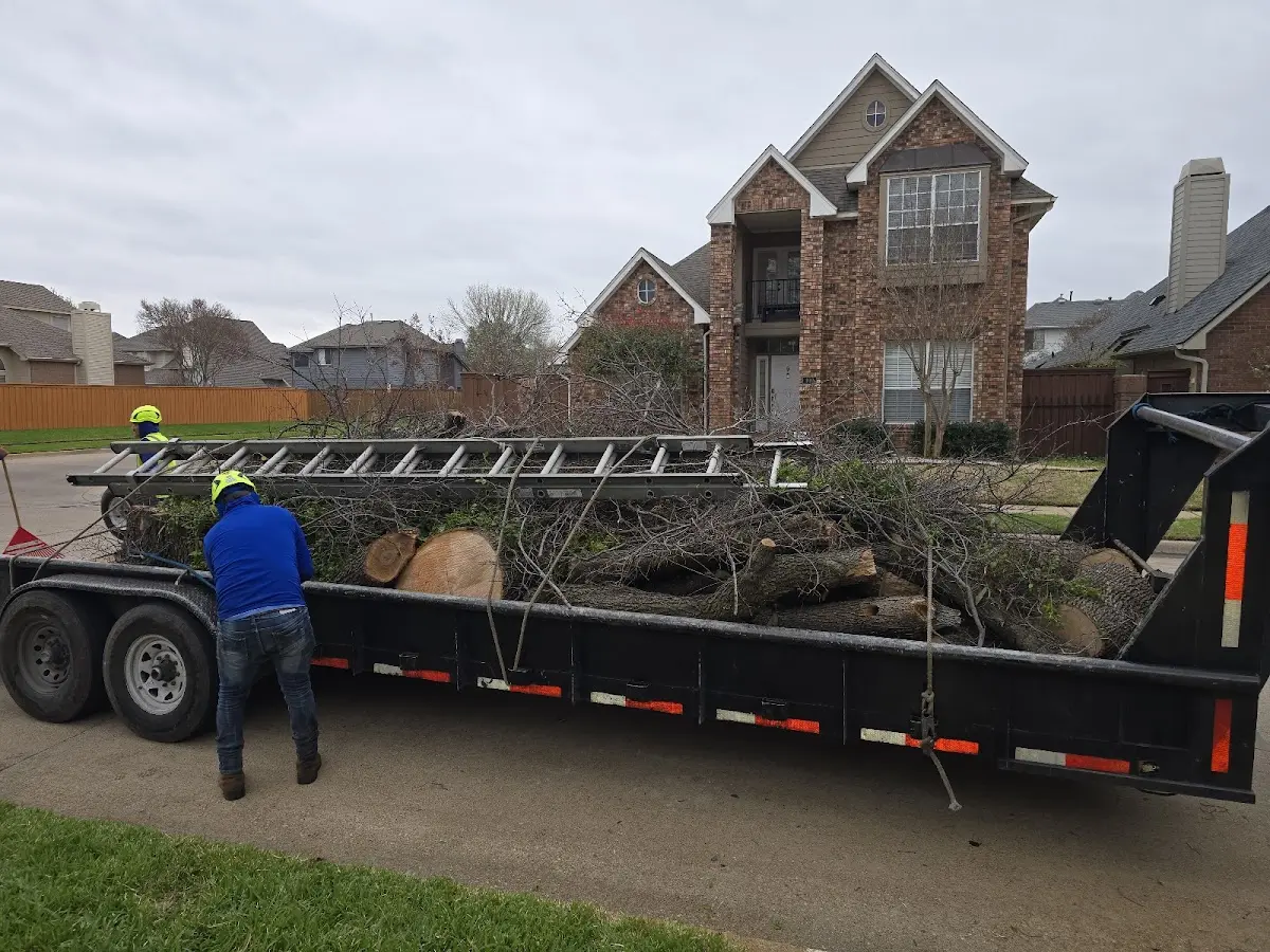 Expert Crown Reduction with proper safety equipment in Cascade